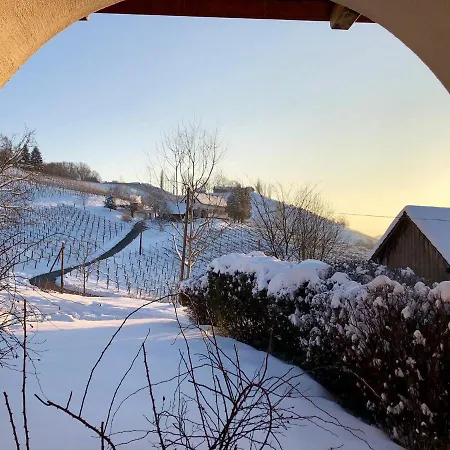 In - Steiermark 41160 Apartment *
